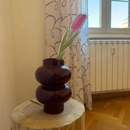 Comfy In Apartamento