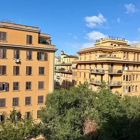 Comfy In Roma